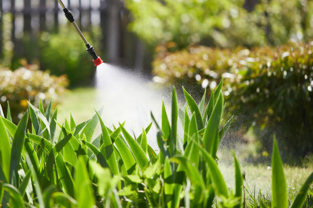 24/7 Emergency Fumigation Services experts in Darlington, SC