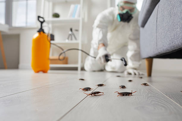 Trusted Fumigation Services service in Darlington, SC - Nex Pest Control